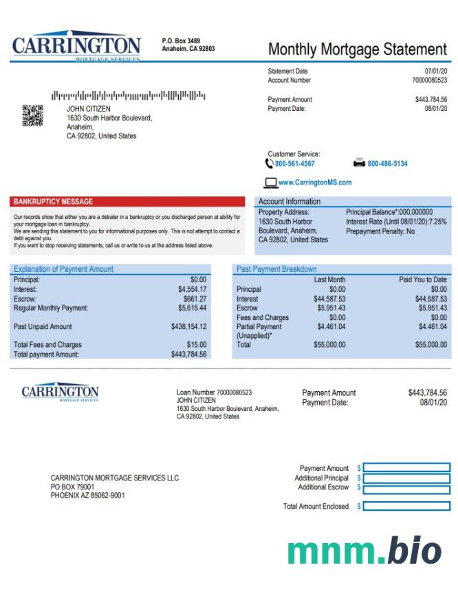 USA Carrington usługi hipoteczne szablon w formacie excel pdf